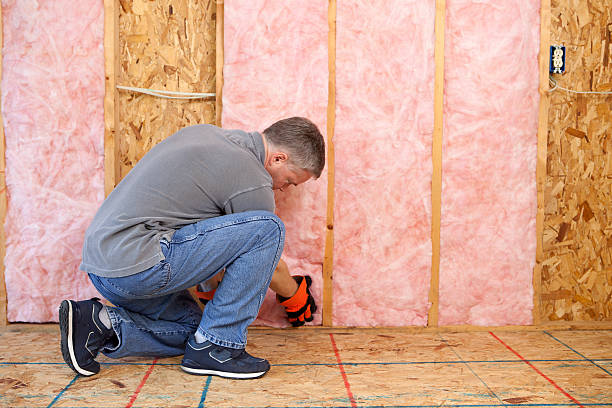 Best Residential Insulation in Sunrise Manor, NV